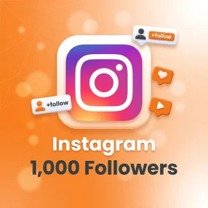 Instagram 1.000 Takipçi